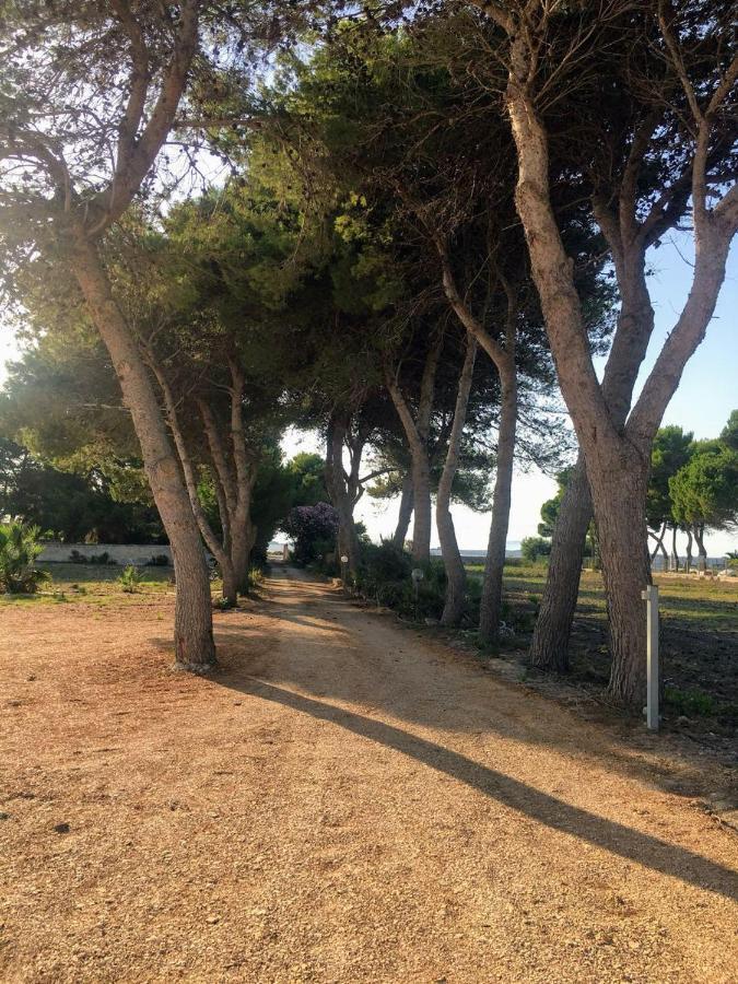 Case Vacanze Spagnola 106 Marsala Eksteriør bilde